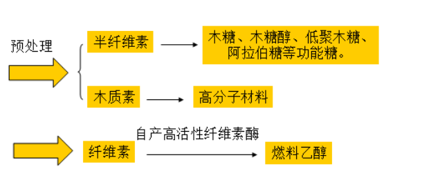 生物質乙醇預處理步驟工藝圖.png